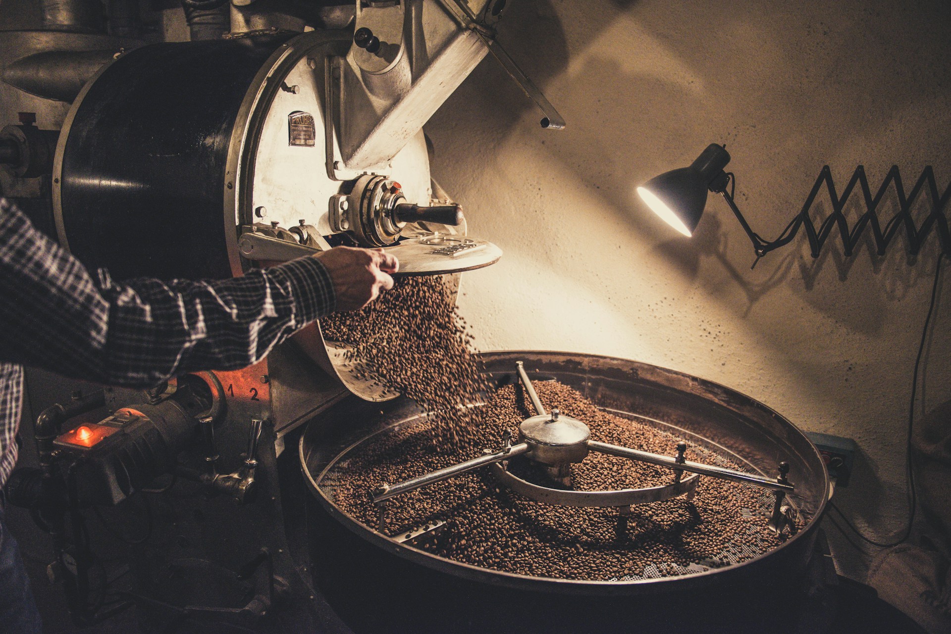 An operator opening the drum of a drum roaster so roasted beans pour into the cooling tray below, under a single work lamp